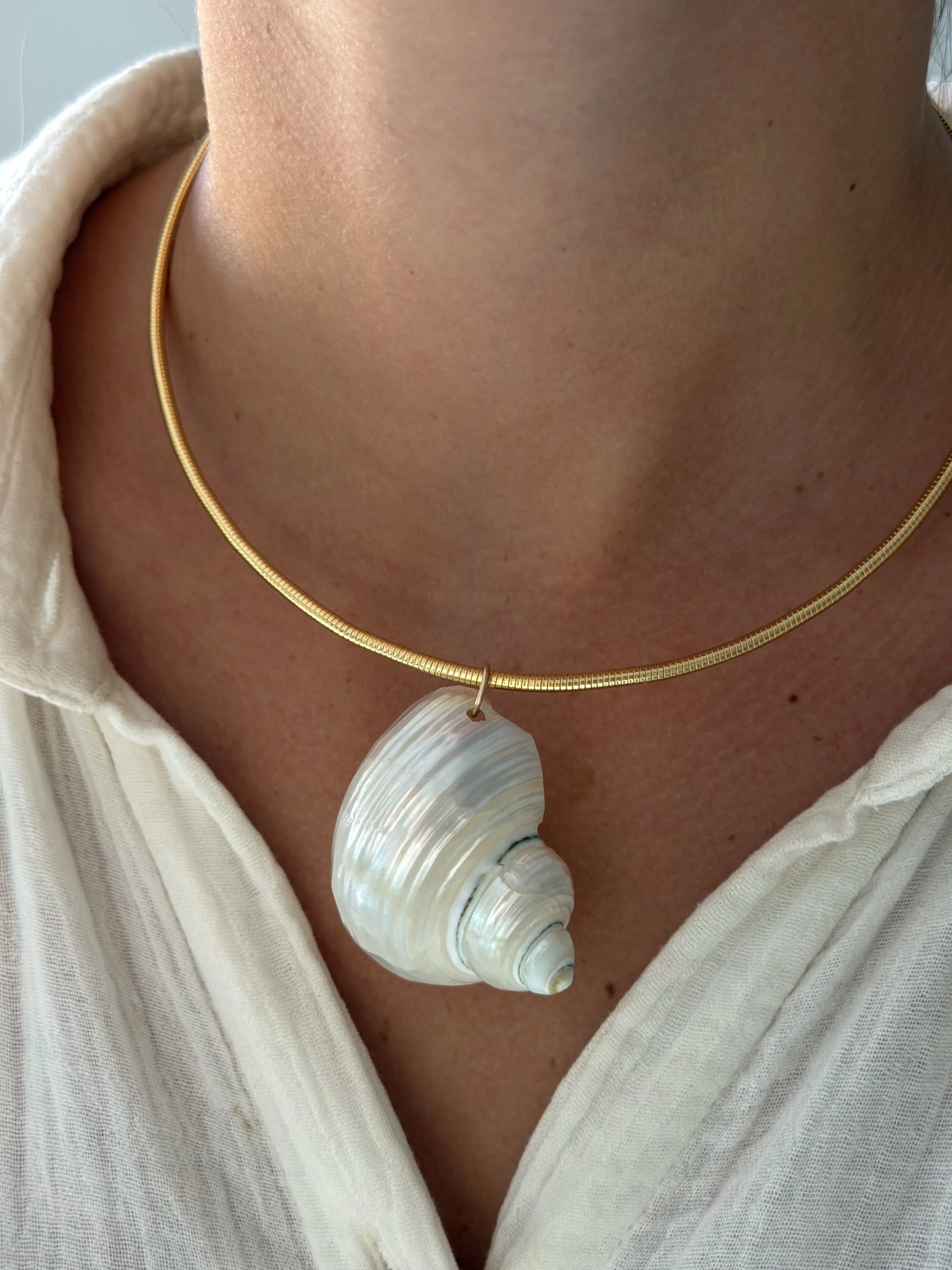 TURBO SHELL COLLAR NECKLACE